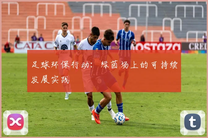 足球环保行动：绿茵场上的可持续发展实践