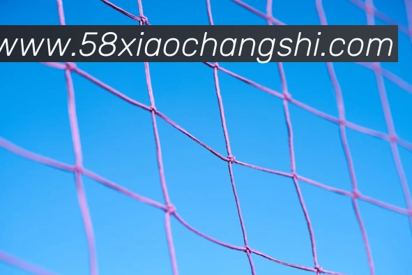 k1体育官方网站平台生态图